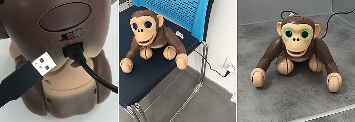 cable usb zoomer chimp