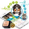 Kippy Vita : Le premier GPS / tracker d'activité pour chien et chat