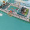 Playmobil 9233 : Catamaran à fond de verre avec moteur submersible - Démon en français HD FR