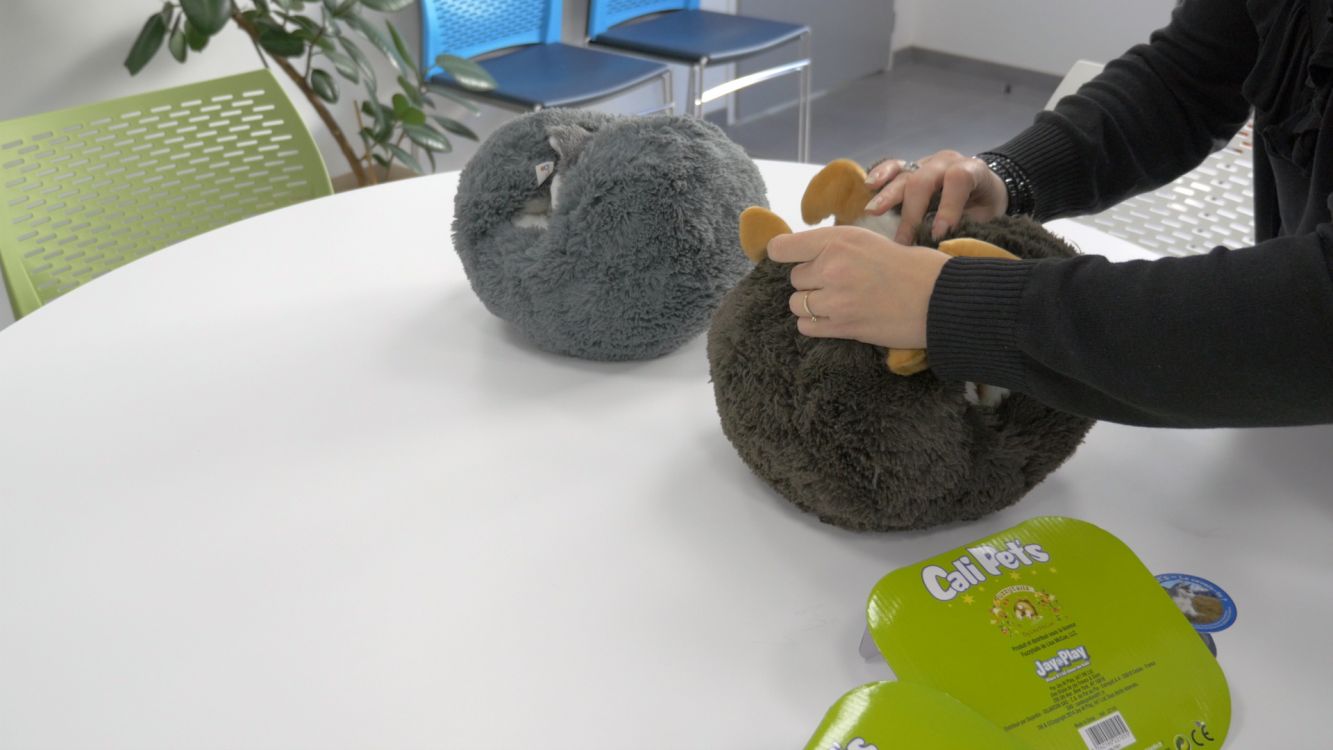Cali Pets Peluches Douces Qui Se Mettent En Boule Cali Pets Peluches Douces Qui Se Mettent En Boule