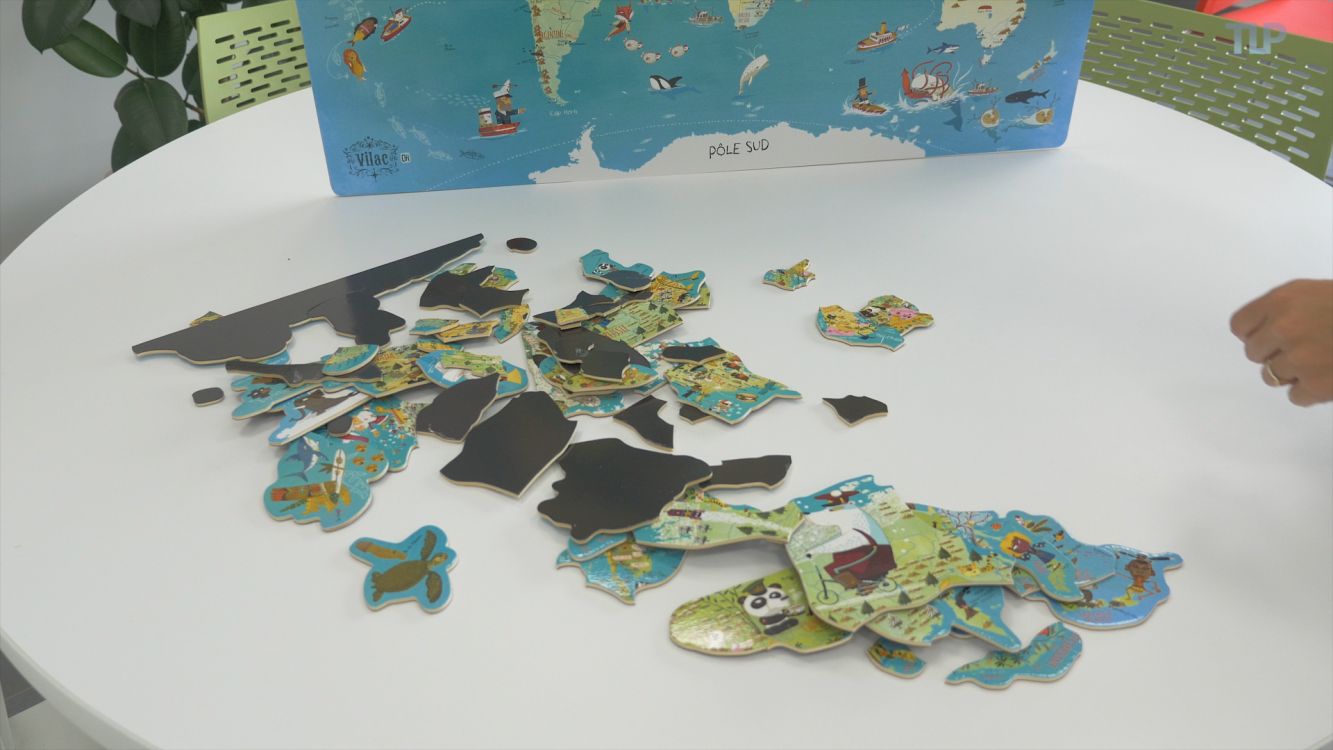 Vilac Carte du monde fantastique magnétique 78 pièces - Comparer avec