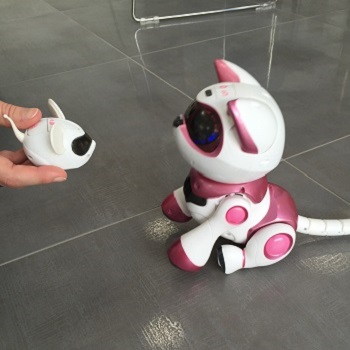 Robot chat interactif - Teksta Kitty - Splash Toys : 49.9 €