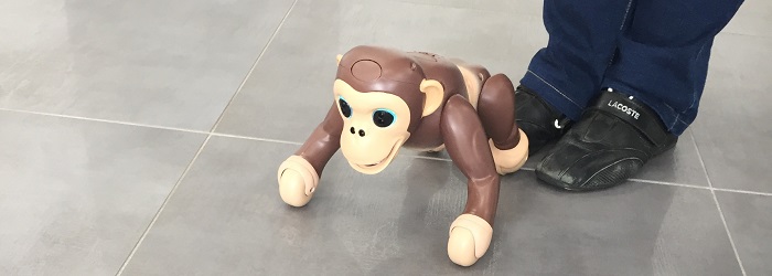 mode garde zoomer chimp