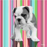 Peinture sur toile et tableau
