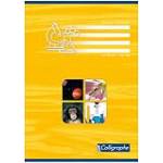 Cahier de travaux pratique